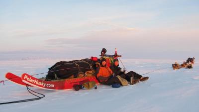 post-8457-0-19762400-1376947455_thumb.jp