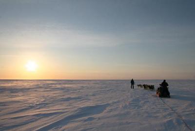 post-8457-0-71595200-1376946286_thumb.jp