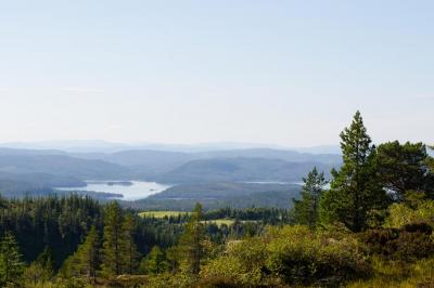 post-8581-0-89112200-1377460753_thumb.jp