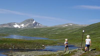 post-10401-0-08509700-1407272061_thumb.j