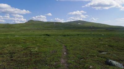 post-10401-0-47364400-1407269319_thumb.j