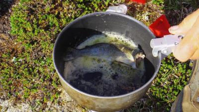 post-10401-0-53252600-1407271329_thumb.j