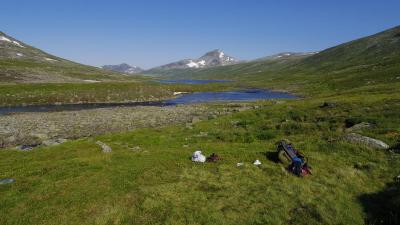 post-10401-0-80993100-1407272787_thumb.j