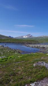 post-10401-0-85764700-1407272164_thumb.j