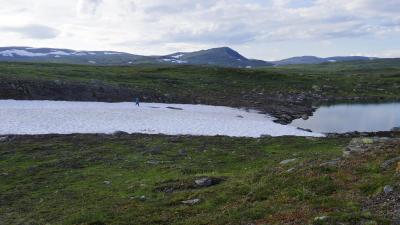 post-10401-0-87208700-1407270409_thumb.j