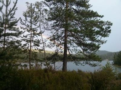 post-10513-0-43426500-1408617202_thumb.j