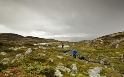 post-12278-0-31932100-1408381847_thumb.j