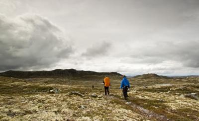 post-12278-0-33218600-1408380307_thumb.j