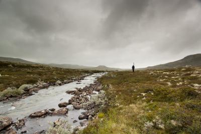 post-12278-0-66257400-1408380610_thumb.j