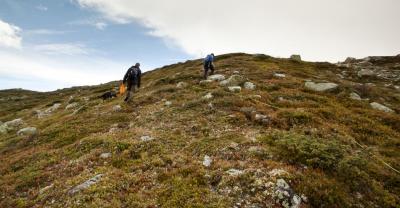 post-12278-0-79385900-1408383606_thumb.j