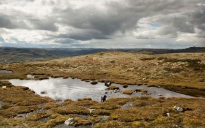 post-12278-0-88302800-1408384547_thumb.j