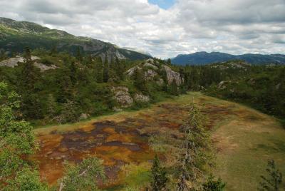 post-12580-0-37383000-1407149601_thumb.j