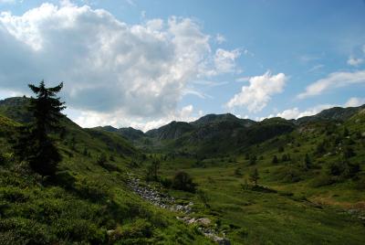 post-12580-0-37490500-1407149227_thumb.j