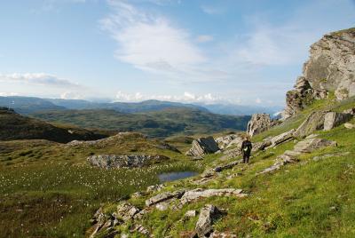 post-12580-0-85195800-1407760940_thumb.j