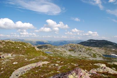 post-12580-0-98704500-1407149238_thumb.j