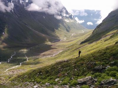 post-12740-0-87685300-1406897469_thumb.j