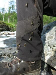 post-13206-0-06156800-1406889360_thumb.j