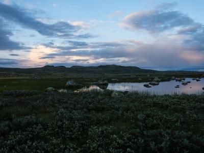 post-13206-0-19608300-1408898545_thumb.j