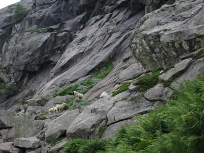 post-13206-0-21622600-1407088636_thumb.j