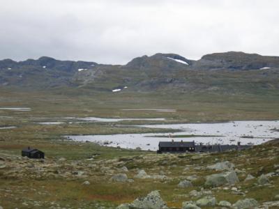 post-13206-0-25796900-1408897395_thumb.j