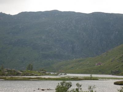 post-13206-0-35597200-1407088878_thumb.j