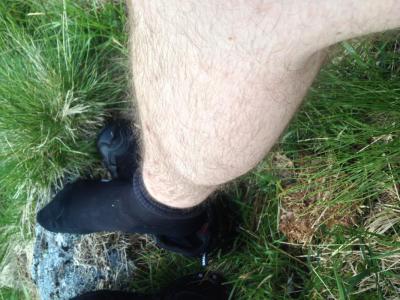 post-13206-0-44696800-1408047954_thumb.j