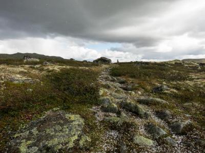 post-13206-0-50448100-1408898273_thumb.j