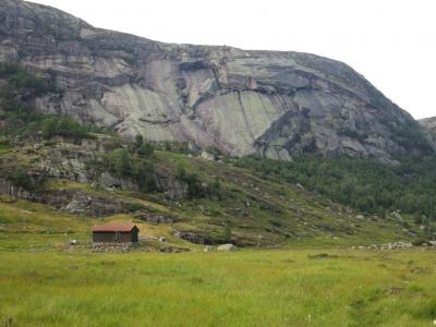 post-13206-0-64590800-1407089157_thumb.j