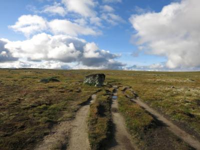 post-13206-0-65562200-1408898697_thumb.j