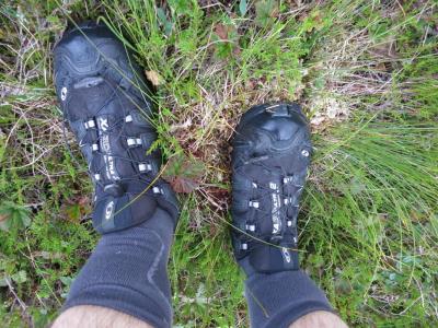 post-13206-0-79848800-1407087608_thumb.j