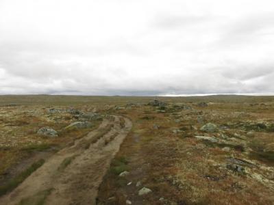 post-13206-0-81574900-1408897392_thumb.j