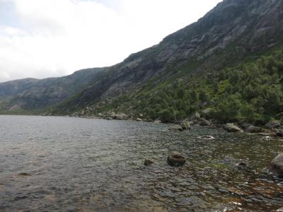 post-13206-0-85902400-1407088683_thumb.j