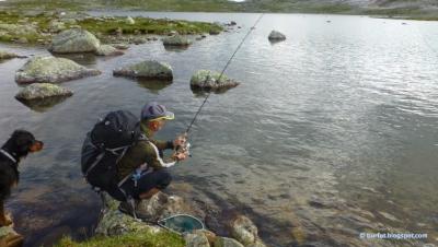 post-13361-0-65443200-1407762287_thumb.j