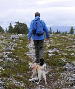 post-13572-0-95895500-1408349532_thumb.j