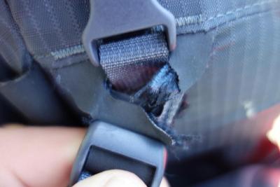 post-14504-0-58728000-1409496463_thumb.j