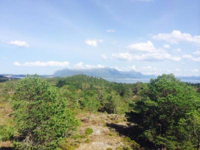 post-14505-0-88259300-1407613946_thumb.j