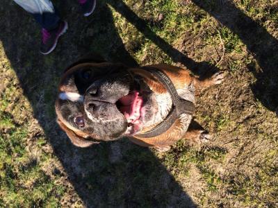 post-15213-0-76614000-1408807689_thumb.j