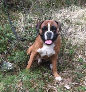 post-15213-0-79949300-1408807540_thumb.j