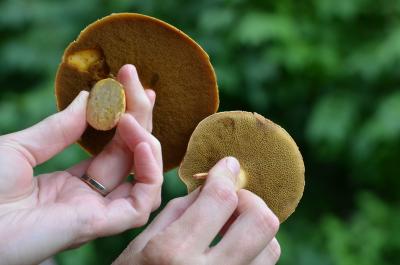 post-1735-0-05362900-1409407268_thumb.jp