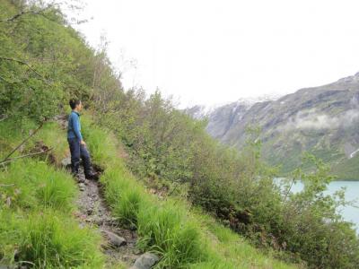 post-1852-0-23746400-1407221161_thumb.jp