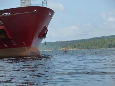 post-1852-0-49633700-1406890486_thumb.jp