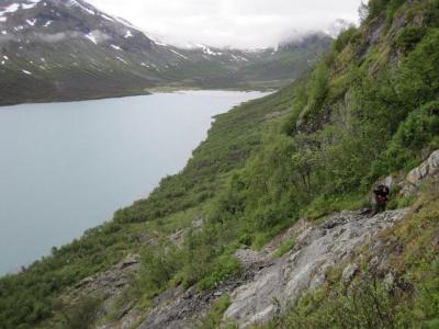 post-1852-0-50084900-1407221131_thumb.jp