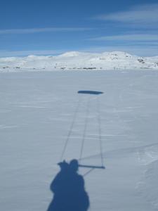 post-4117-0-58239800-1409147493_thumb.jp