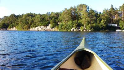 post-4220-0-02008000-1409128652_thumb.jp