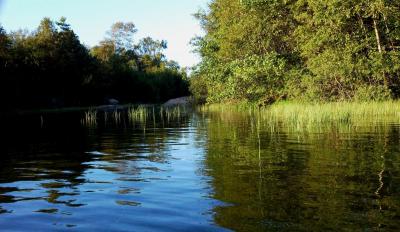 post-4220-0-19250600-1409128704_thumb.jp