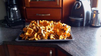 post-4220-0-41040400-1409131680_thumb.jp