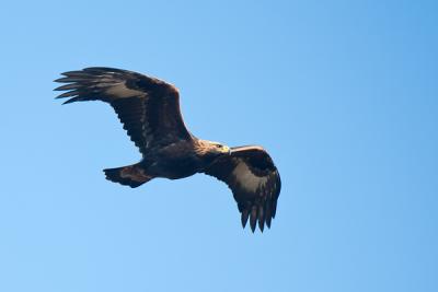 post-4220-0-50858900-1408708879_thumb.jp