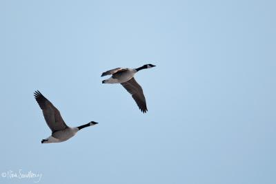 post-4220-0-94687300-1408708980_thumb.jp