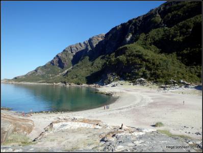 post-4444-0-00189300-1409514842_thumb.jp