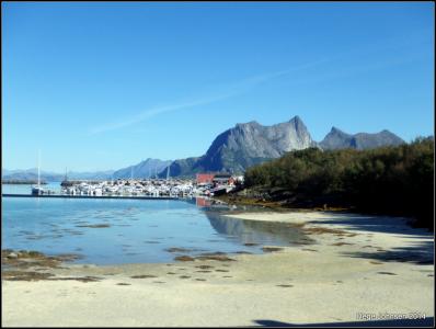 post-4444-0-12327000-1409514836_thumb.jp